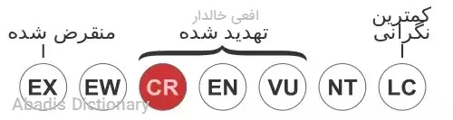 افعی خالدار